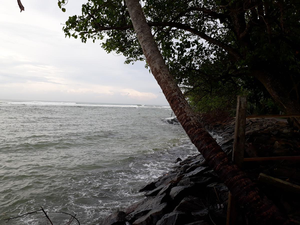 Himawari Beach Villa Matara Exteriör bild