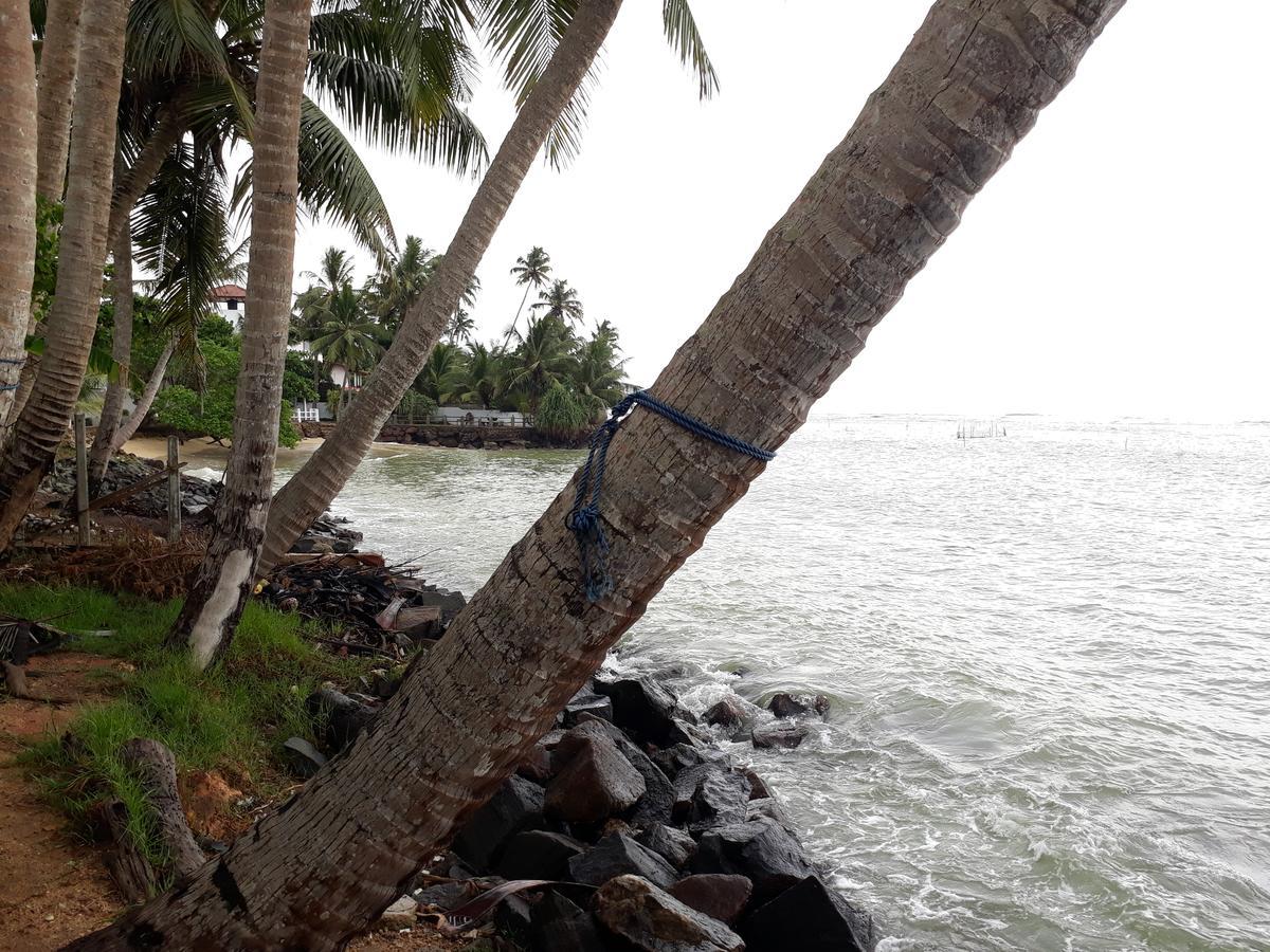 Himawari Beach Villa Matara Exteriör bild